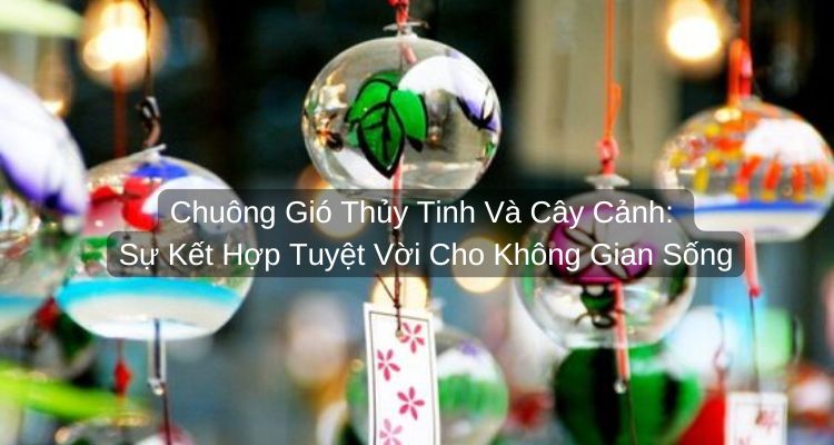 Chuông Gió Thủy Tinh Và Cây Cảnh: Sự Kết Hợp Tuyệt Vời Cho Không Gian Sống