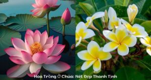 Hoa Trồng Ở Chùa: Nét Đẹp Thanh Tịnh